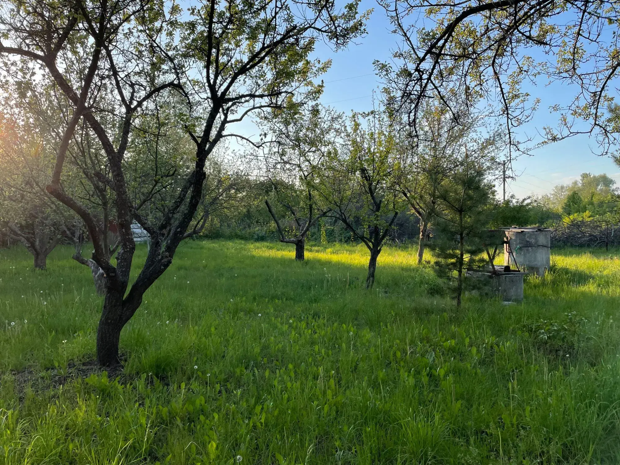 Велика дачна ділянка біля лісу с. Петрівка | Приват житло