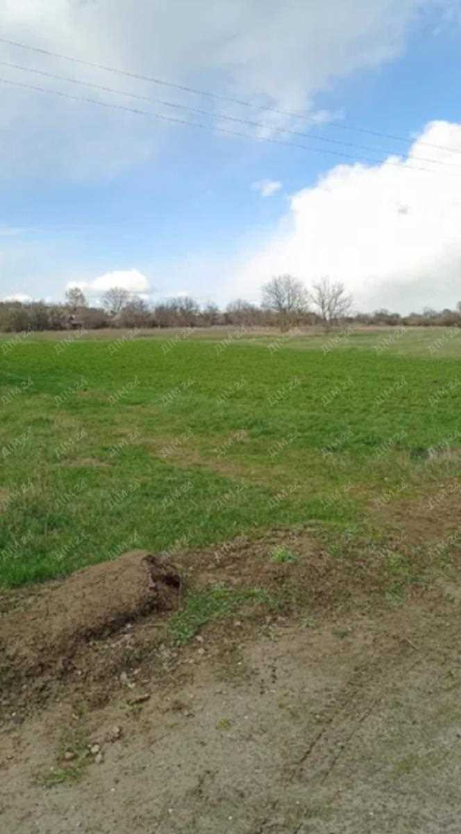 Земельна ділянка в Жуках | Приват житло