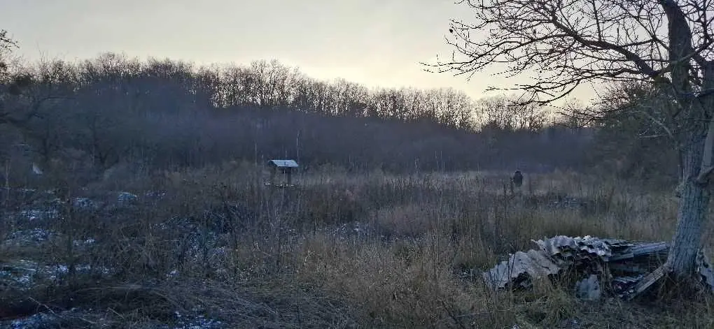 Земельна ділянка в Патлаївці | Приват житло