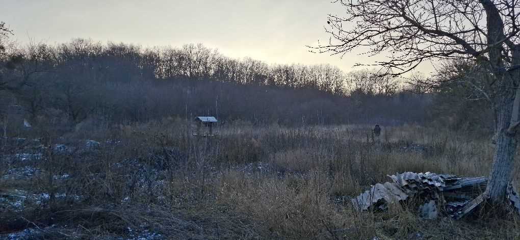 Земельна ділянка в Патлаївці | Приват житло