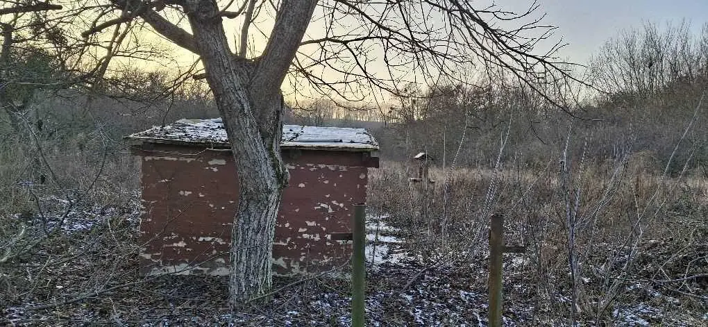 Земельна ділянка в Патлаївці | Приват житло