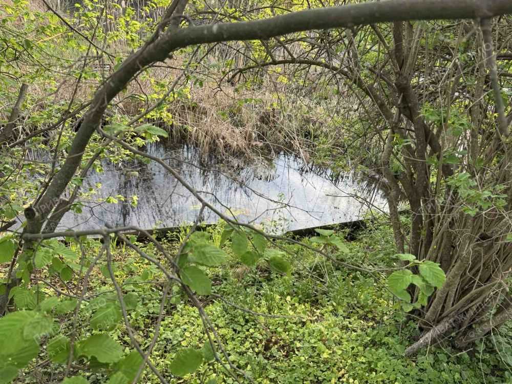 Продається дача на Вороніна
 | Приват житло