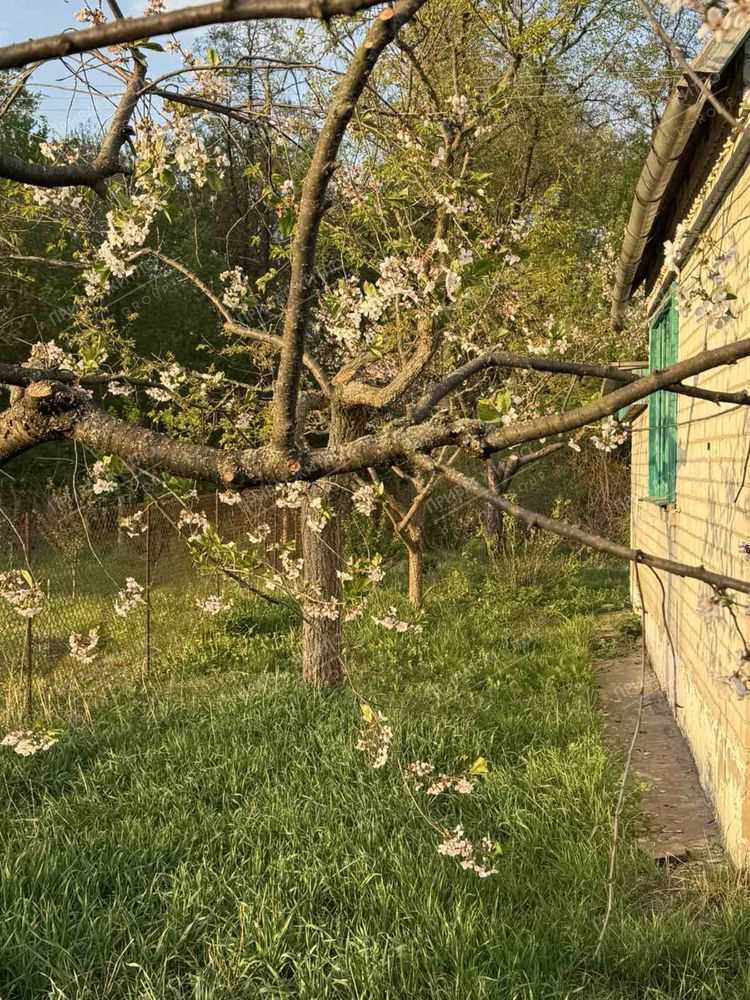 Продається дача на Вороніна
 | Приват житло