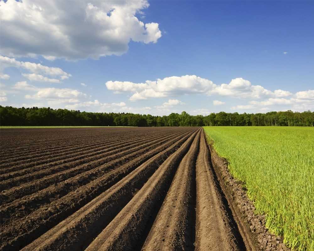 Земельна ділянка під бізнес | Приват житло