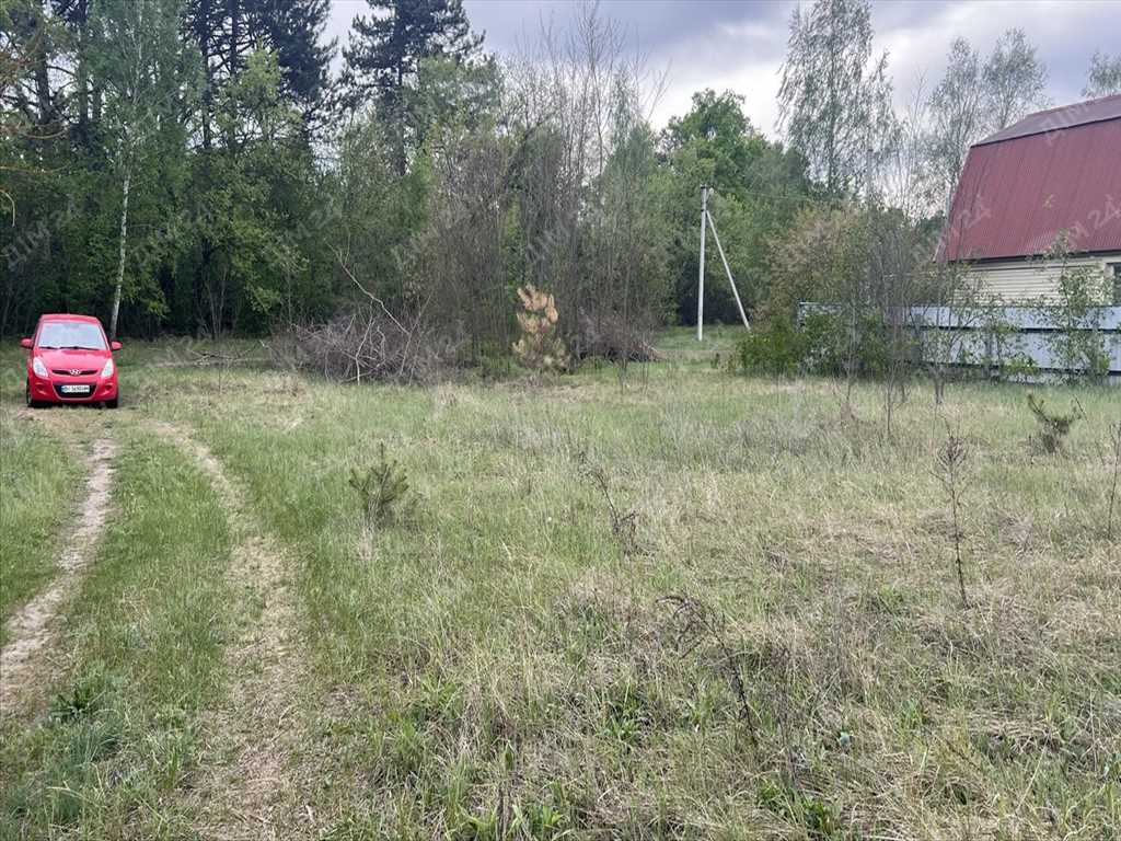 Ділянка в сосновому лісі! | Приват житло