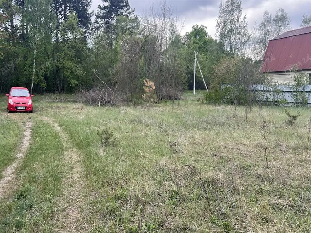 Ділянка в сосновому лісі! | Приват житло