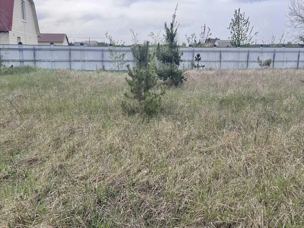 Ділянка в сосновому лісі! | Приват житло