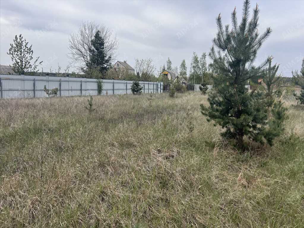 Ділянка в сосновому лісі! | Приват житло