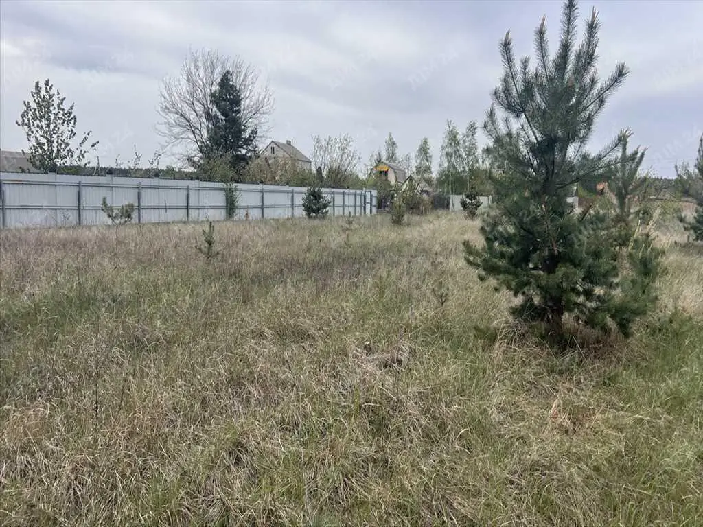 Ділянка в сосновому лісі! | Приват житло