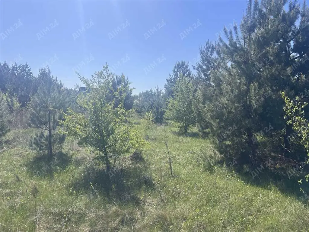 Ділянка в сосновому лісі! | Приват житло