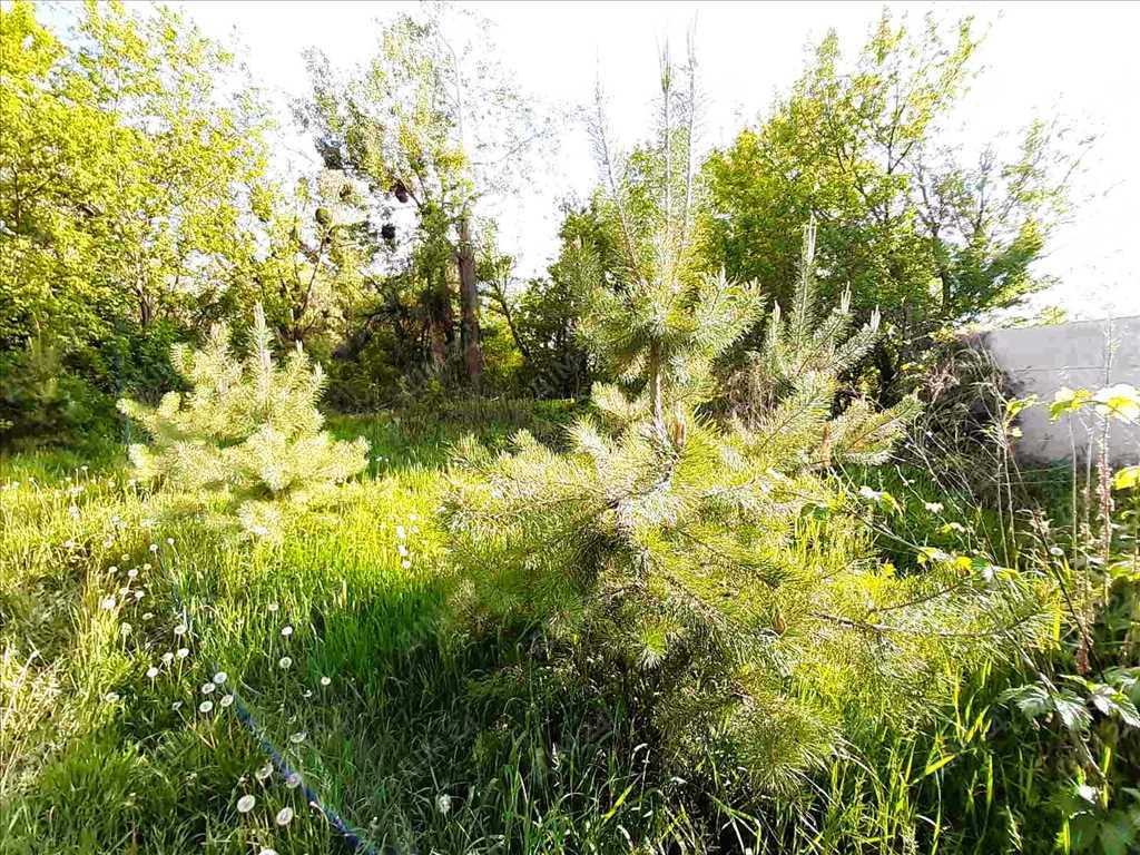 Ваша газифікована ділянка.  | Приват житло