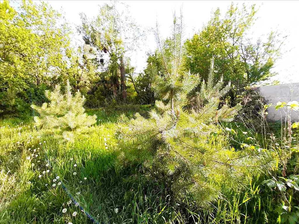 Ваша газифікована ділянка.  | Приват житло