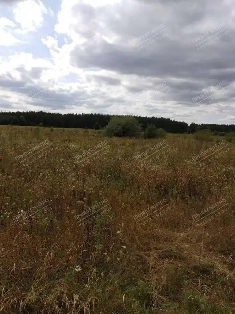 Продається земельна ділянка с. Верхоли | Приват житло