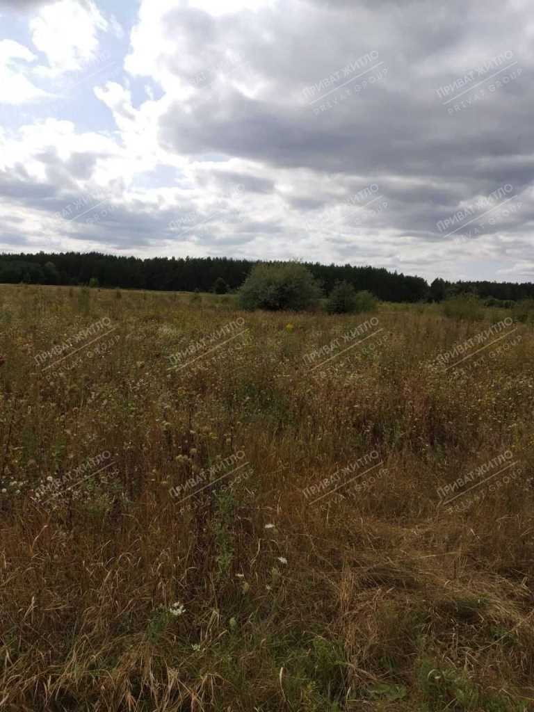 Продається земельна ділянка с. Верхоли | Приват житло