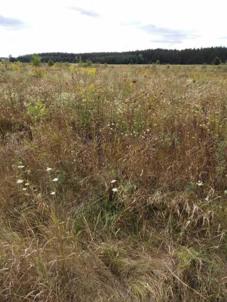 Продається земельна ділянка с. Верхоли | Приват житло