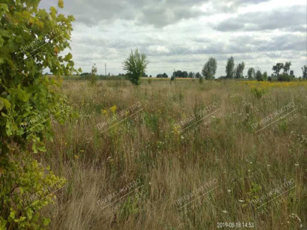 Продається земельна ділянка с. Верхоли | Приват житло