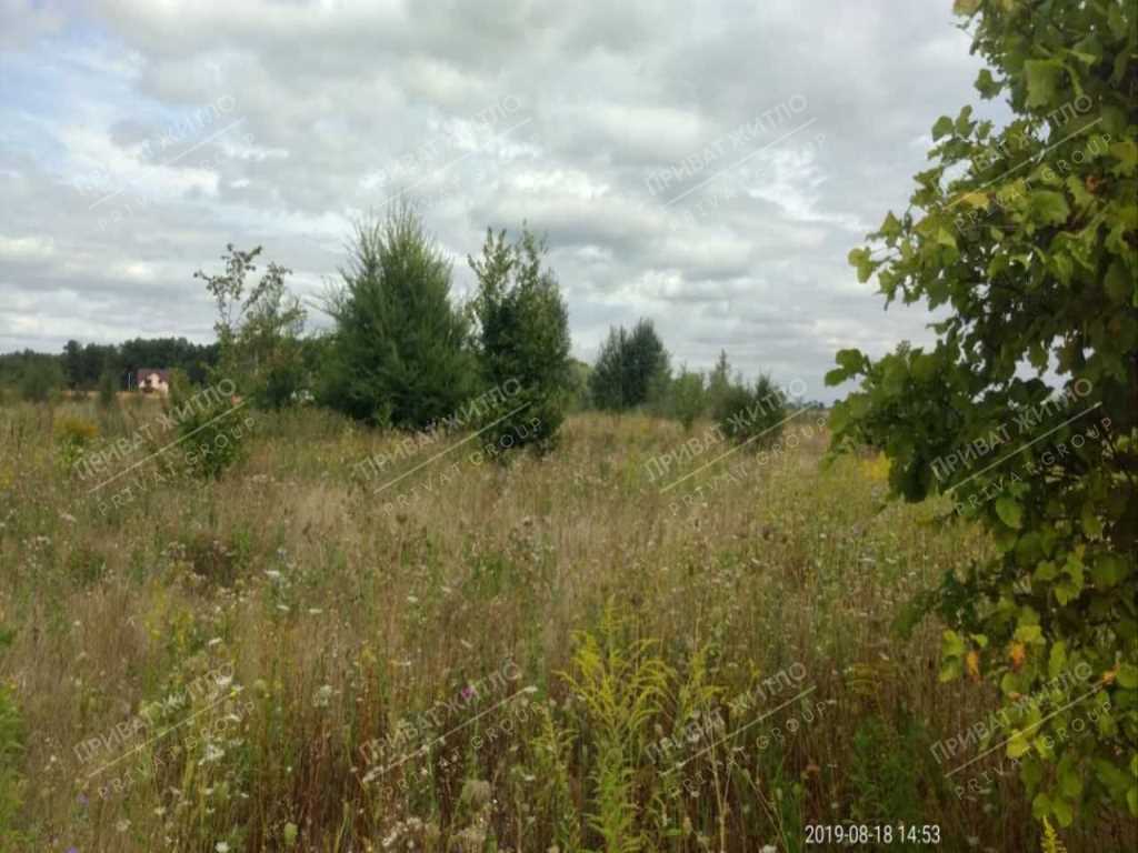 Продається земельна ділянка с. Верхоли | Приват житло