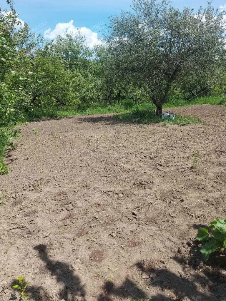 Продається ділянка в дачному кооперативі | Приват житло