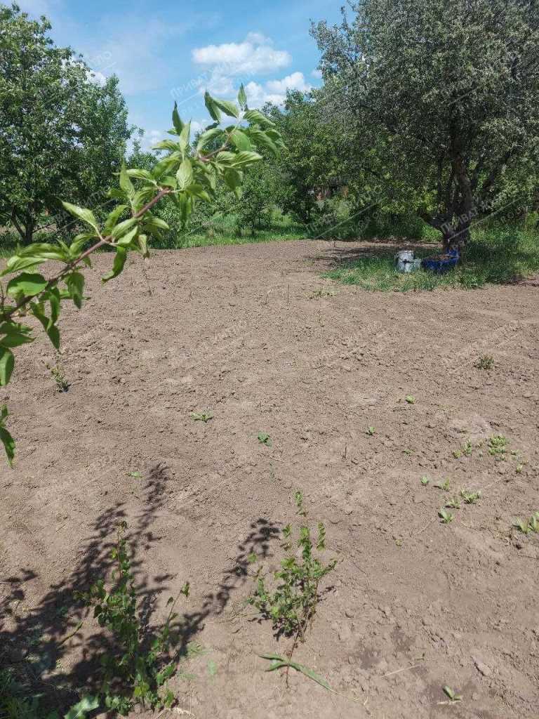 Продається ділянка в дачному кооперативі | Приват житло