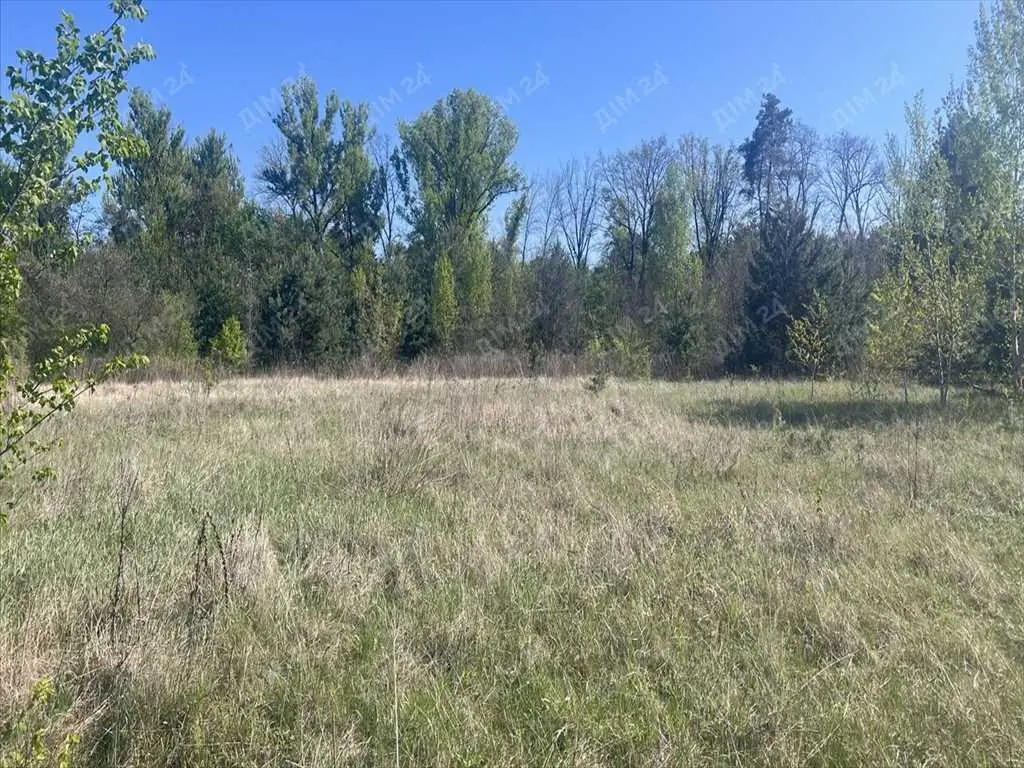 Велика ділянка в сосновому лісі! | Приват житло