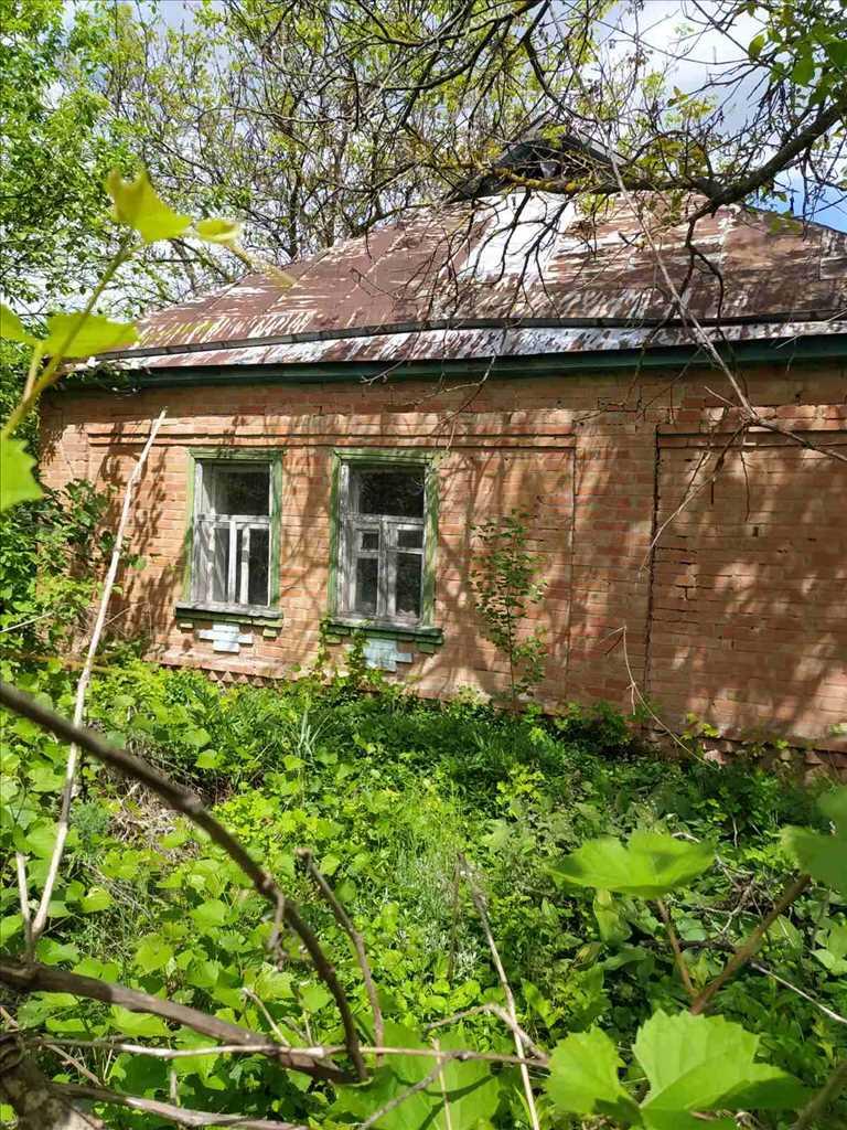 Чудова ділянка біля соснового лісу та пляжу в с. Головач | Приват житло