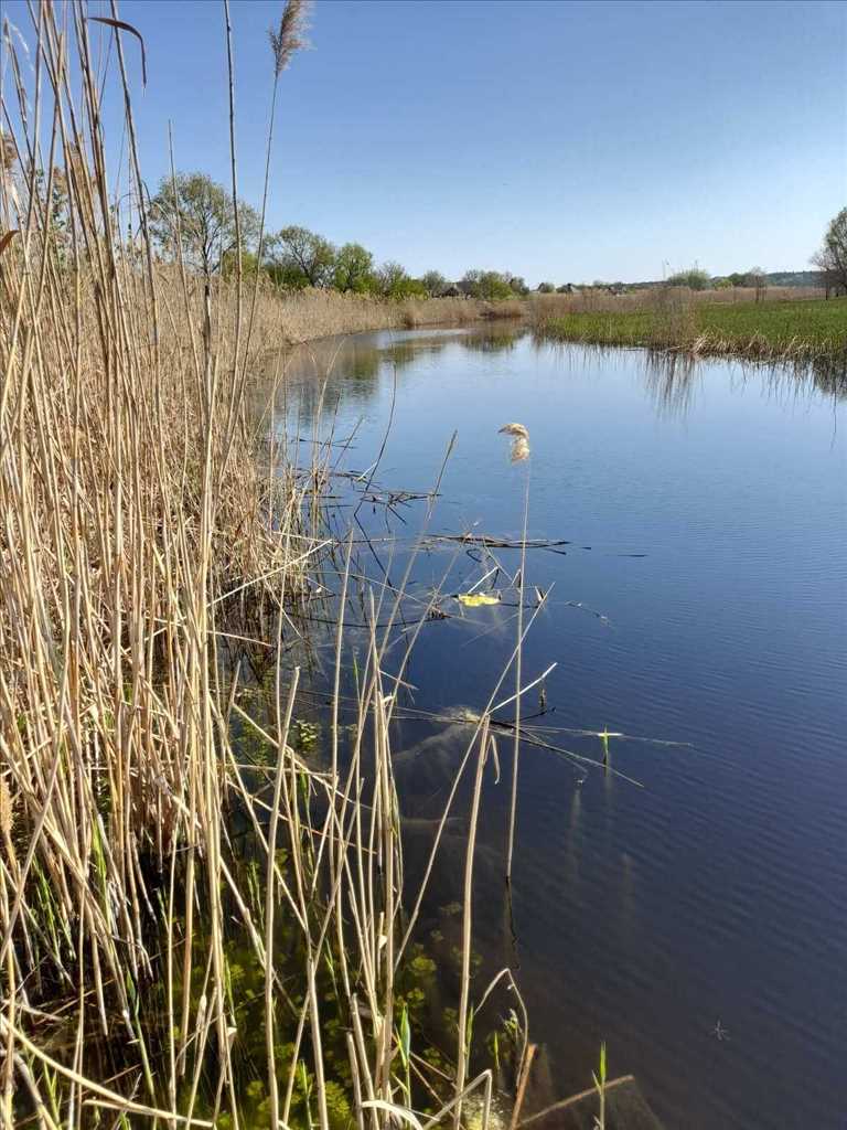 Ковалівка.Ділянка з виходом на Коломак.  | Приват житло