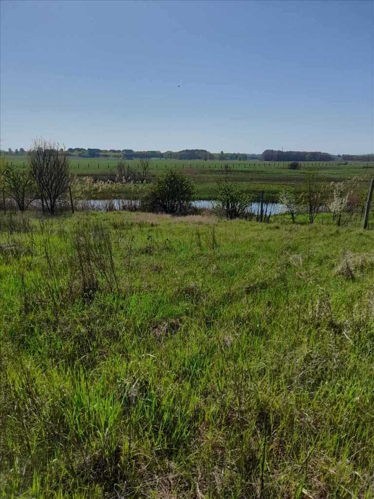 Ковалівка.Ділянка з виходом на Коломак.  | Приват житло