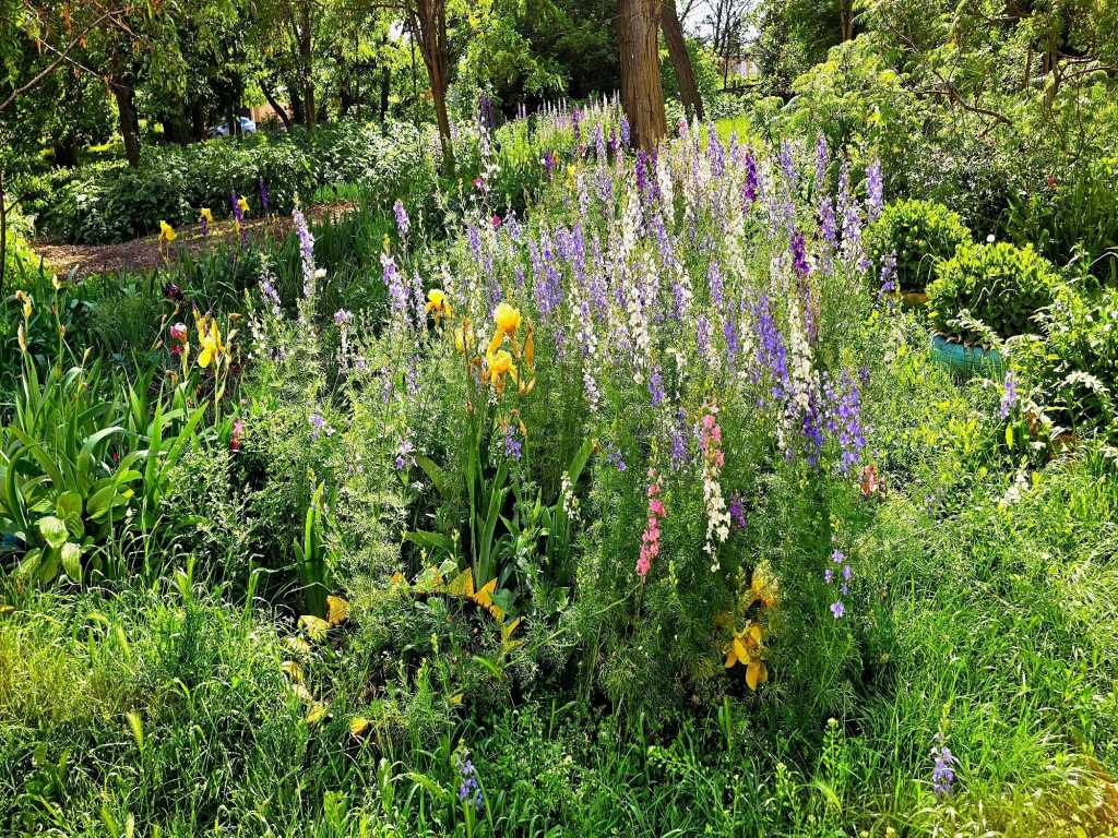 Полтава, Кімната - Продаж, Центральна,  | Приват житло