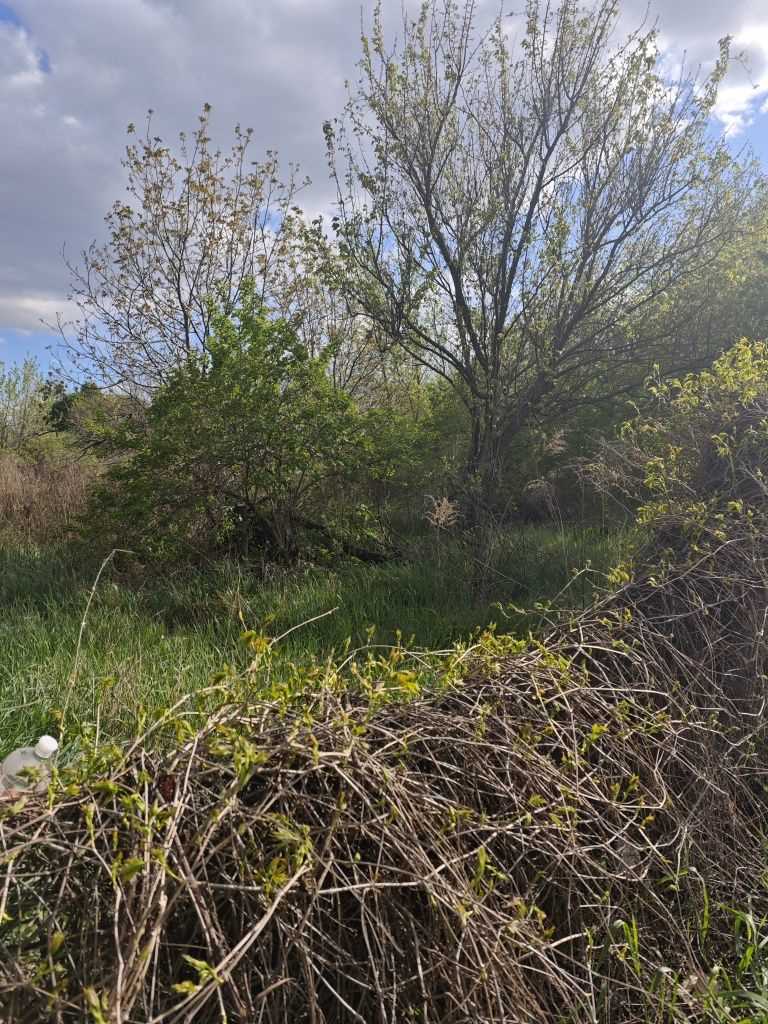 Земельна ділянка в Рибцях. | Приват житло