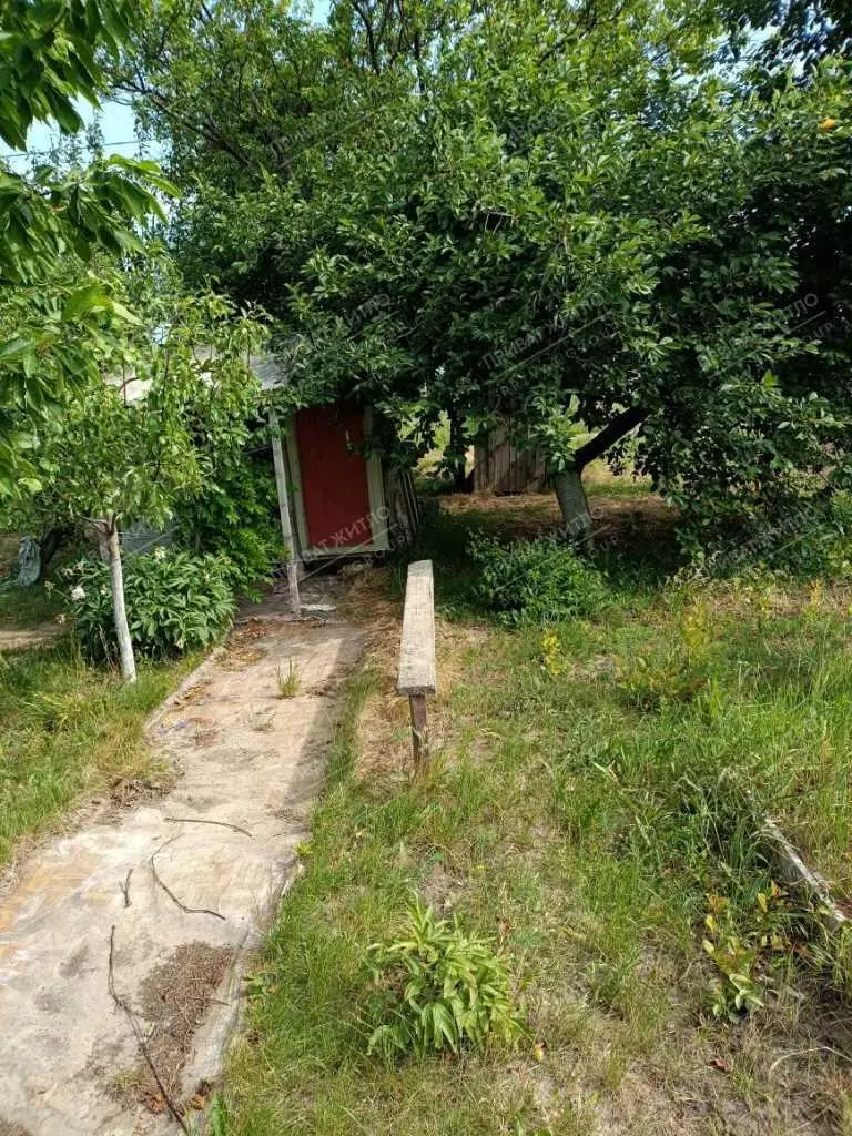 Продається земельна ділянка в с. Супрунівка, 15 соток.
 | Приват житло