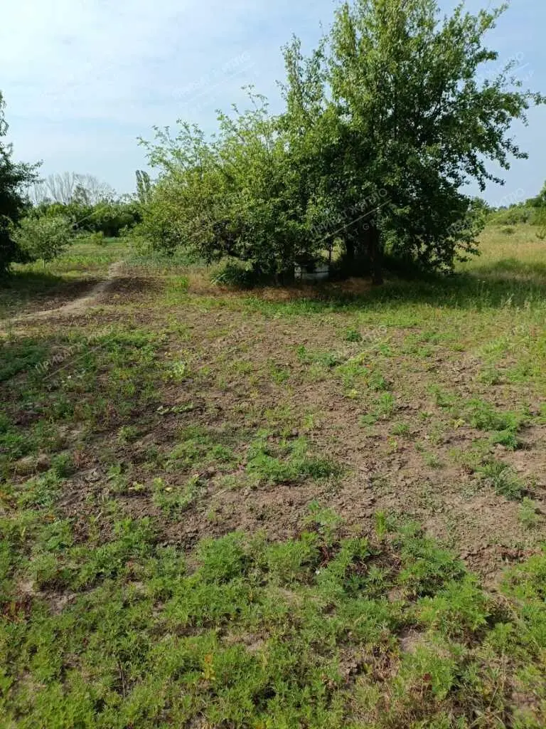 Продається земельна ділянка в с. Супрунівка, 15 соток.
 | Приват житло