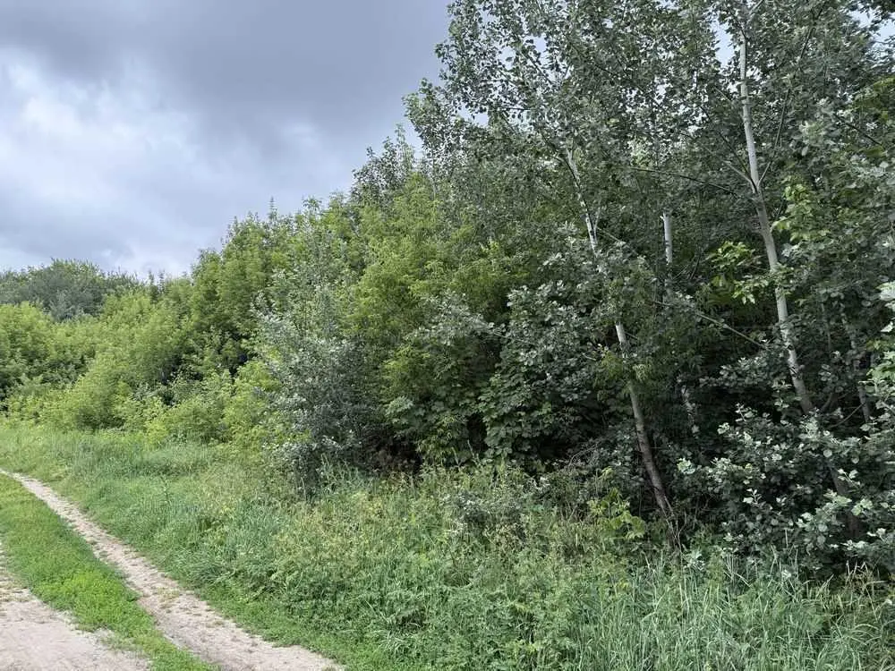 Продаж однієї або декількох земельних ділянки в гарній локації | Приват житло