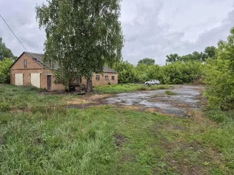 Комерційне приміщення в Кашубівці | Приват житло