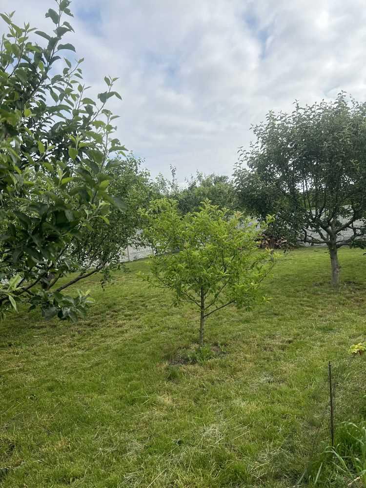 Будинок в пригороді Полтави | Приват житло