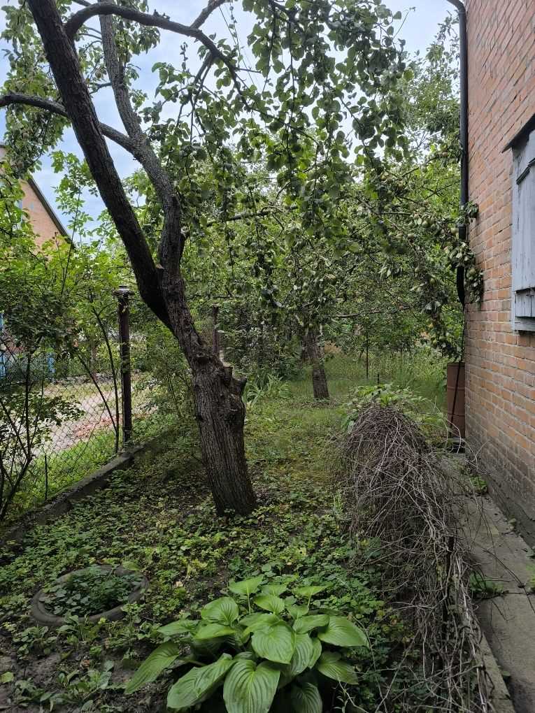 Ваша Дача на Вороніна Ідеальний Куточок для Відпочинку!
 | Приват житло