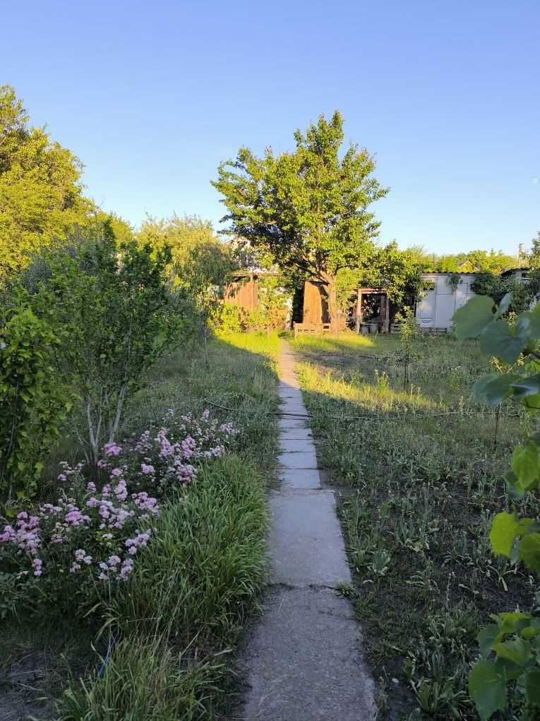 Ваша Дача на Вороніна Ідеальний Куточок для Відпочинку!
 | Приват житло