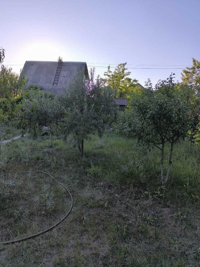 Ваша Дача на Вороніна Ідеальний Куточок для Відпочинку!
 | Приват житло