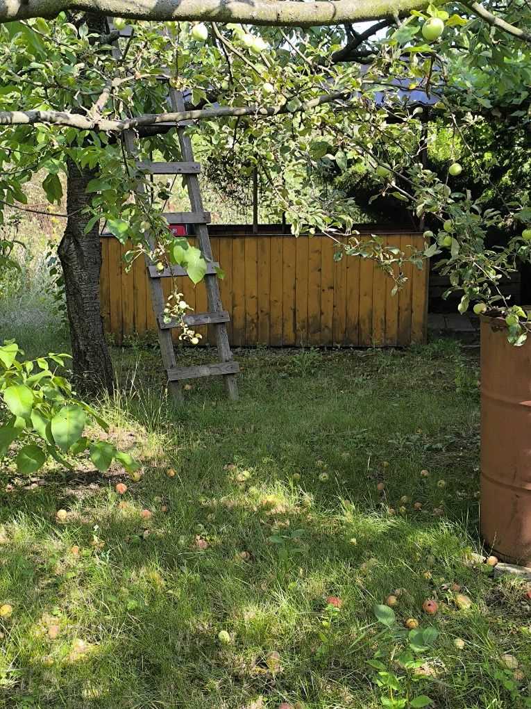 Ваша Дача на Вороніна Ідеальний Куточок для Відпочинку!
 | Приват житло