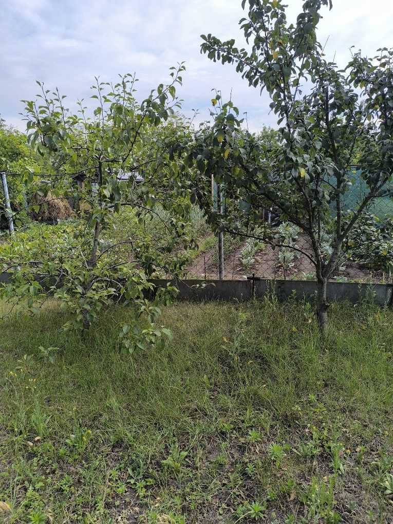 Ваша Дача на Вороніна Ідеальний Куточок для Відпочинку!
 | Приват житло