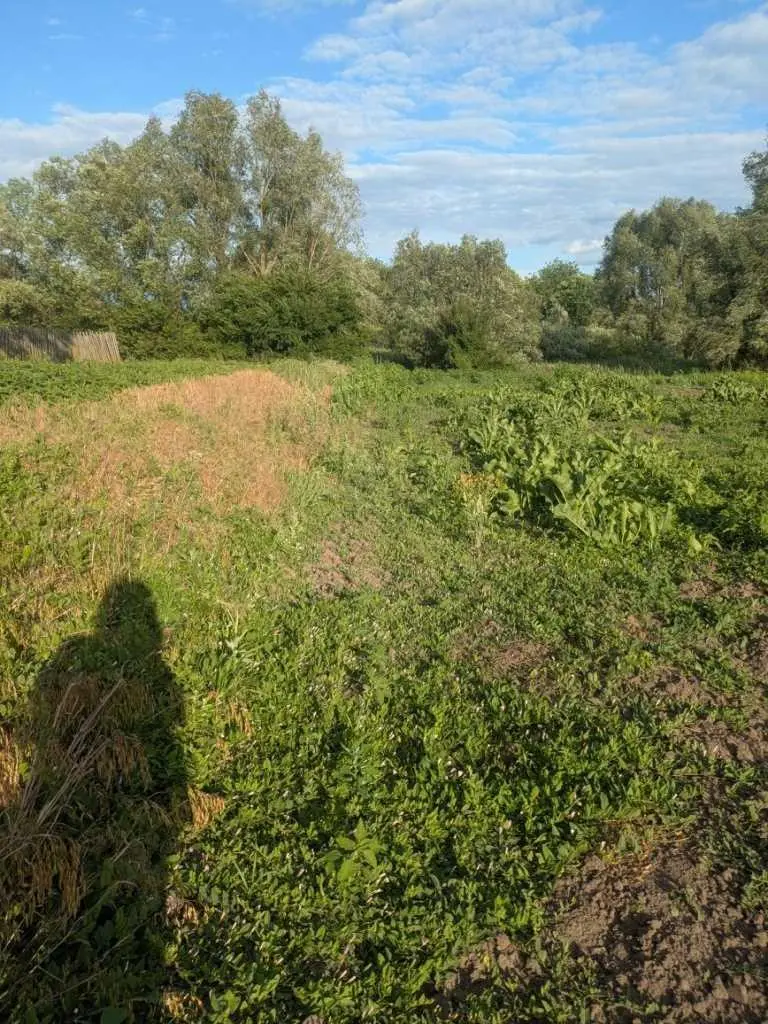 Будинок під капітальний ремонт | Приват житло