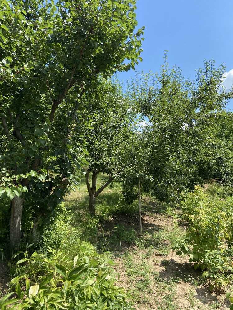 Ділянка під забудову в межах Полтави! | Приват житло