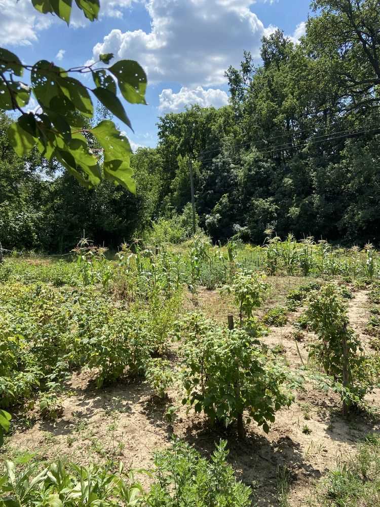 Ділянка під забудову в межах Полтави! | Приват житло