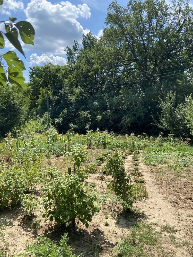 Ділянка під забудову в межах Полтави! | Приват житло