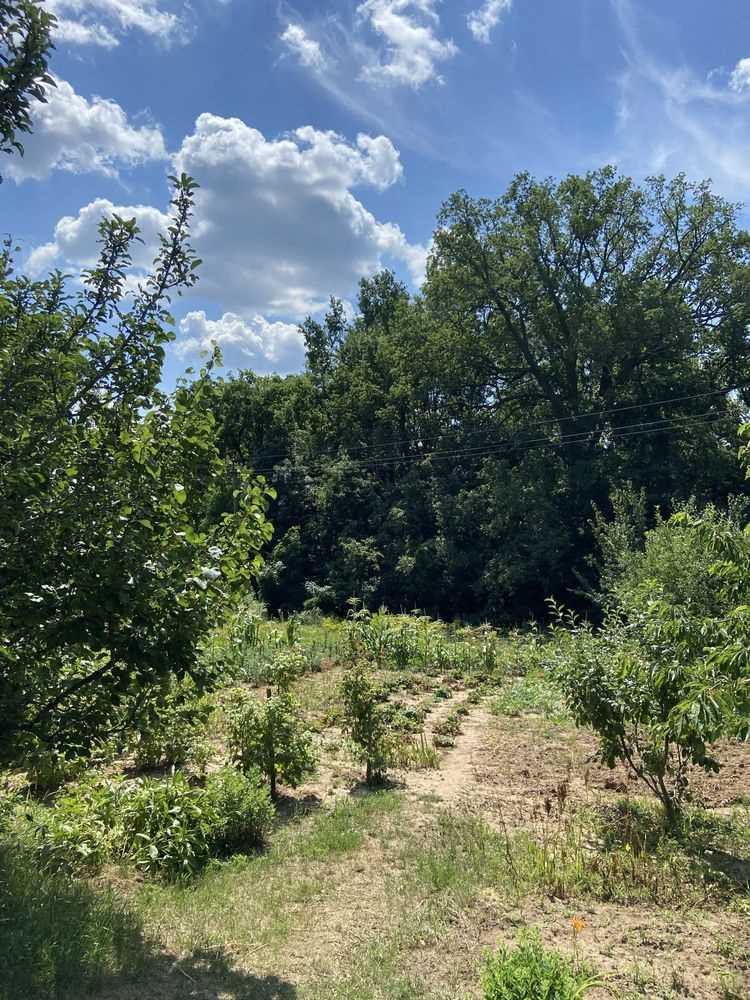 Ділянка під забудову в межах Полтави! | Приват житло