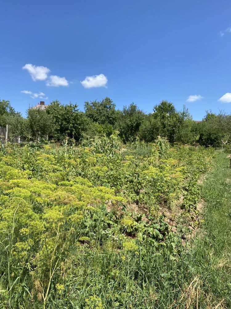 Ділянка під забудову в межах Полтави! | Приват житло