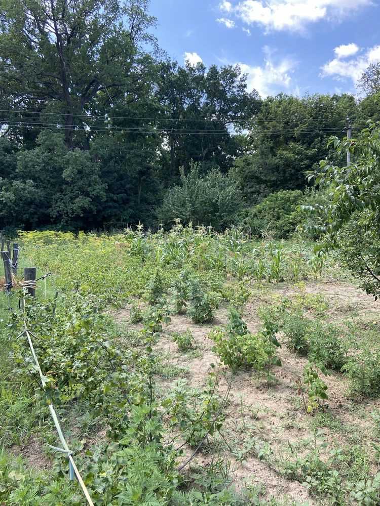 Ділянка під забудову в межах Полтави! | Приват житло