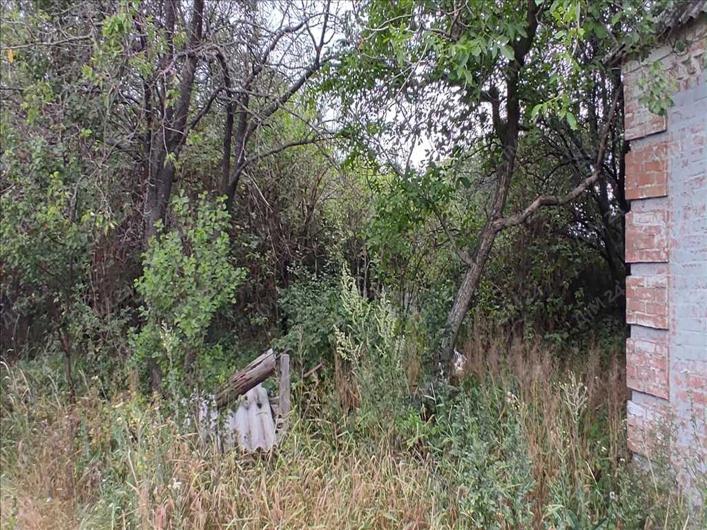 Земельна ділянка з будинком під ремонт, Івонченці | Приват житло