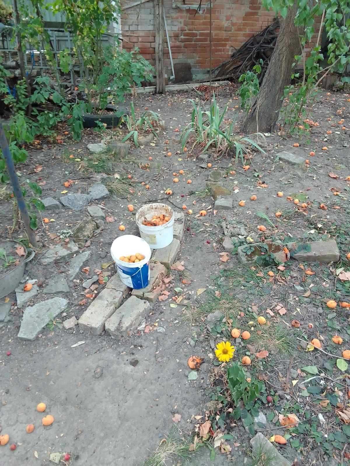 Бюджетна частина будинку на Подолі | Приват житло