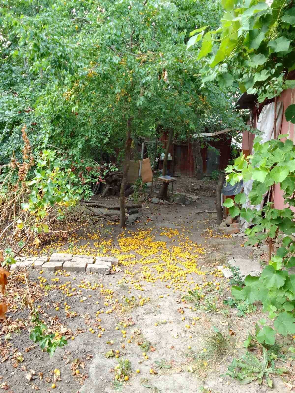 Бюджетна частина будинку на Подолі | Приват житло