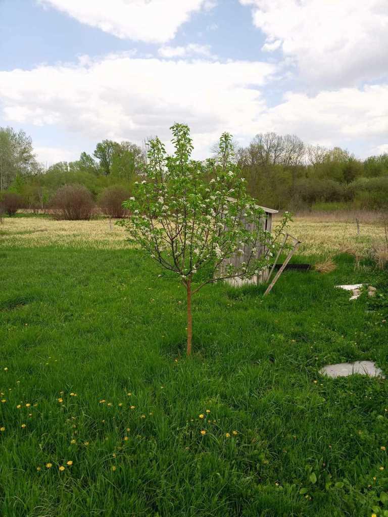 Місце, де ваші ідеї оживуть! | Приват житло